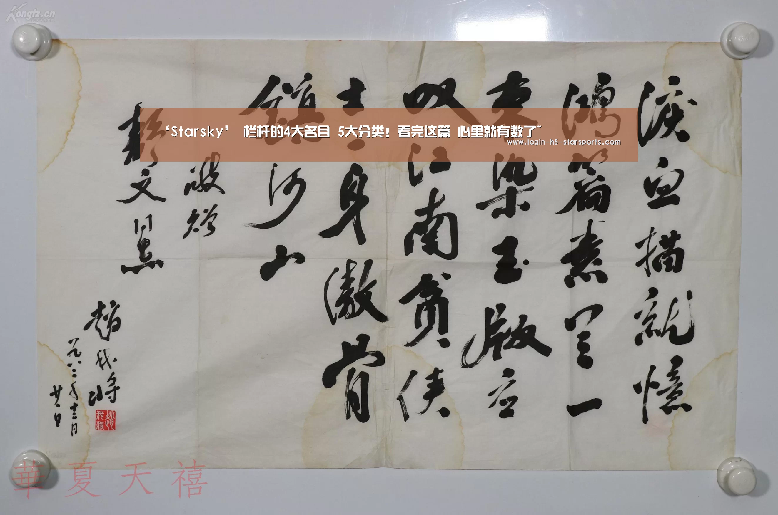 星空体育官网